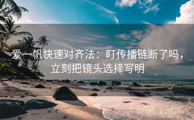 爱一帆快速对齐法：盯传播链断了吗，立刻把镜头选择写明